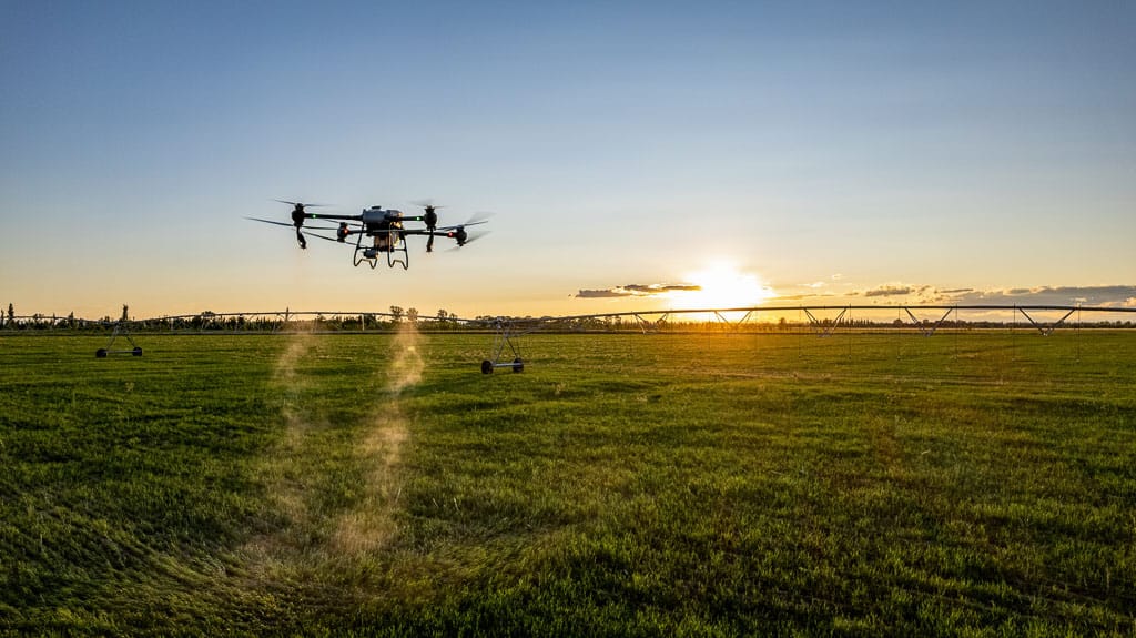 Drones agricoles survolant une prairie au coucher du soleil